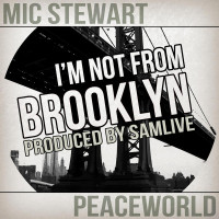 I'm Not From Brooklyn