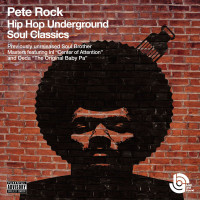 Hip Hop Underground Soul Classics (feat. INI and Deda)