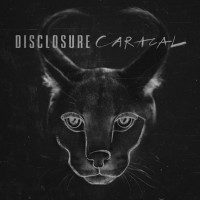 Disclosure-Caracal